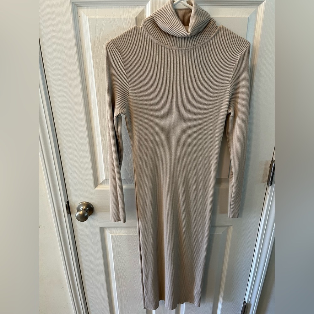 Fitted Ribbed Turtle Neck Dress - Picture 1 of 10